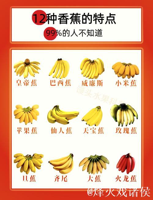 深度解析国产精品视频一级香蕉的独特魅力