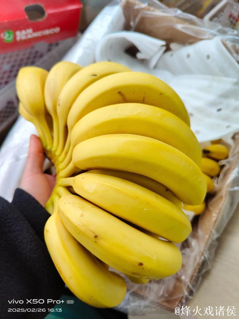 国产精品视频一级香蕉