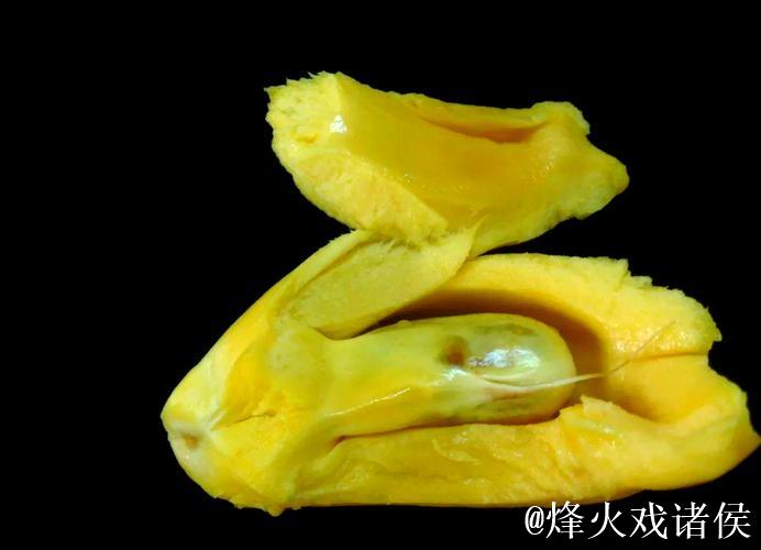 菠萝蜜午夜视频背后的奇幻世界揭秘